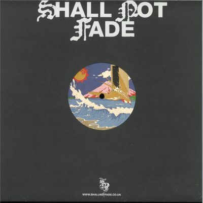 Swoose — Walnut Dashi EP vinyl cover