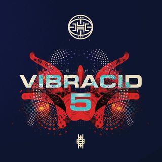 Various — VIBRACID 5 - THE RHYME EP vinyl cover
