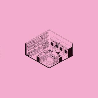 Pletnev — Bleach Please vinyl cover