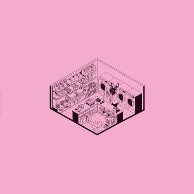 Pletnev — Bleach Please vinyl cover