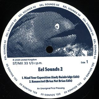Various — EEL SOUNDS 02 vinyl cover