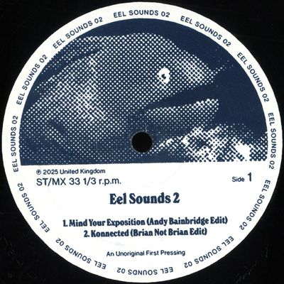 Various — EEL SOUNDS 02 vinyl cover