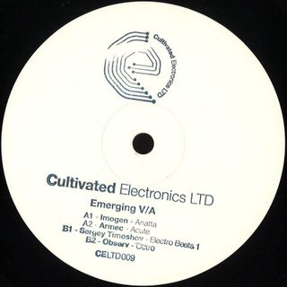 Various — Emerging V/A 2x12" vinyl cover