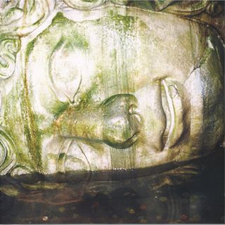 Doc Sleep — Birds (in my mind anyway) LP vinyl cover