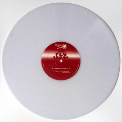 Gerd — Palm Leaves Remixes vinyl cover