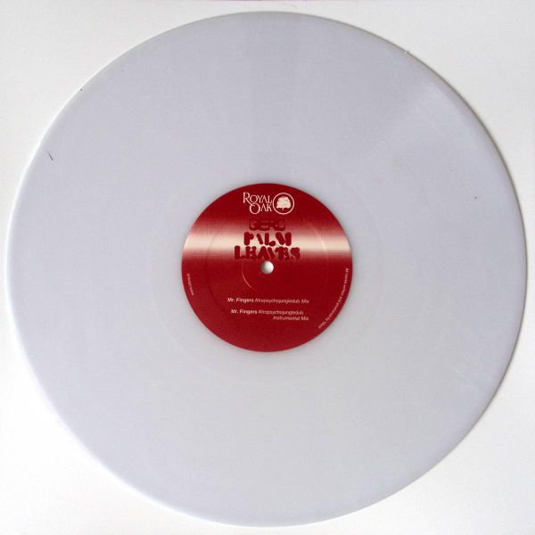 Gerd — Palm Leaves Remixes vinyl cover
