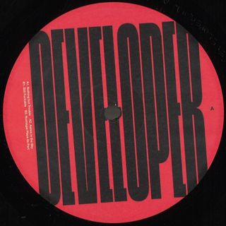 Developer — Archive 012 vinyl cover