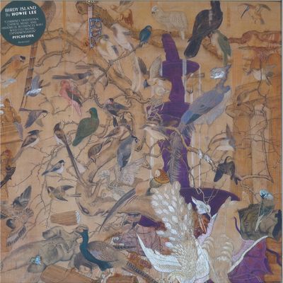 Howie Lee — Birdy Island LP vinyl cover