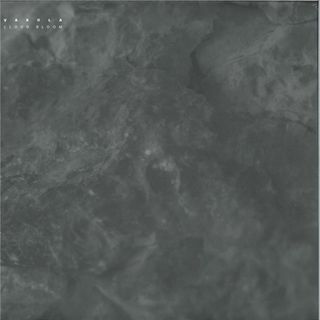Vakula — Cloud Bloom vinyl cover