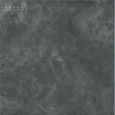 Vakula — Cloud Bloom vinyl cover