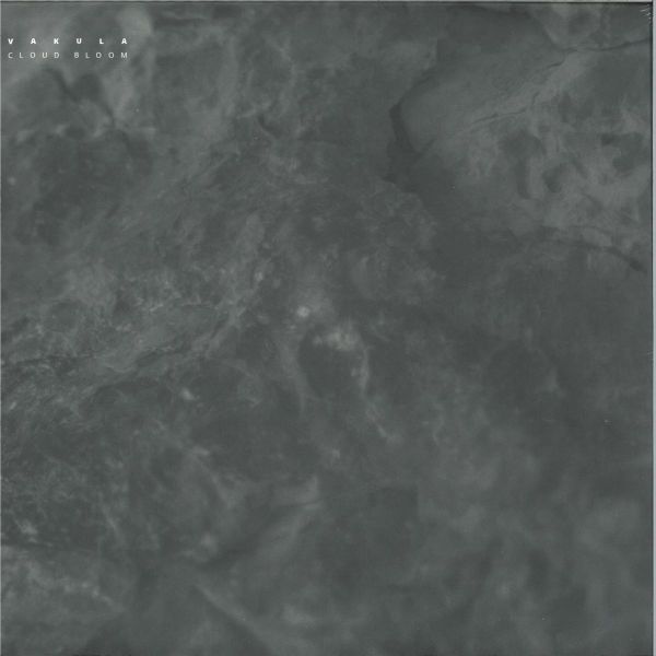 Vakula — Cloud Bloom vinyl cover