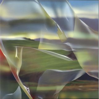 OK EG, Priori — Serpentine vinyl cover