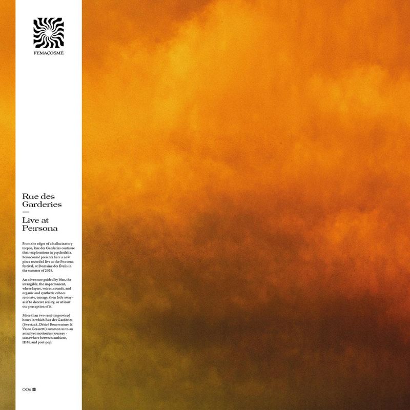 Rue des Garderies — Live at Pe:rsona LP 3x12" vinyl cover