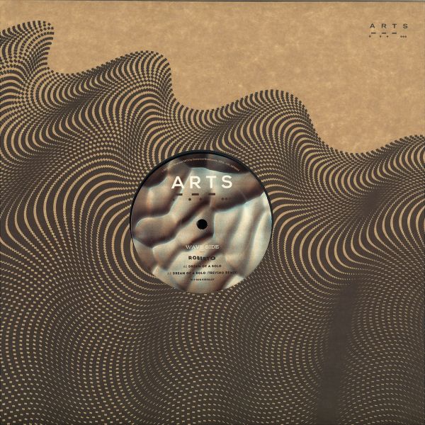 Roberto — Dreams Of A Solo vinyl cover