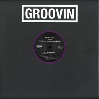 Antony Reale, Costantino "Mixmaster" Padovano — Back From Paradise vinyl cover