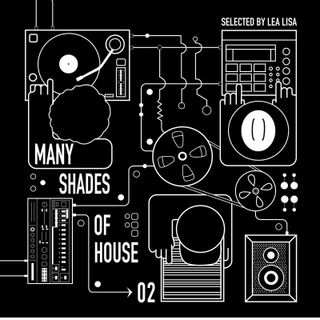 Various — Many Shades Of House (Selected By Lea Lisa) Vol.2 (LP 2x12") vinyl cover