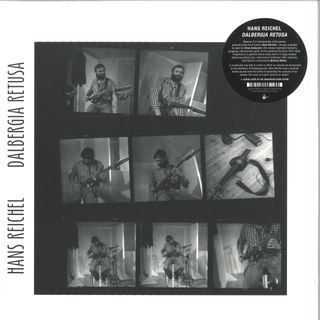 Hans Reichel — Dalbergia retusa LP 2x12" + DL vinyl cover
