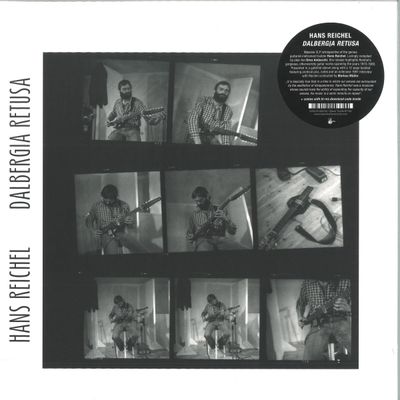 Hans Reichel — Dalbergia retusa LP 2x12" + DL vinyl cover