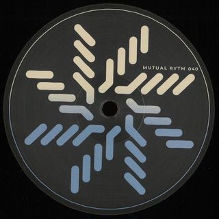 Slv — Fleeting Dreams vinyl cover