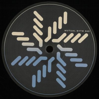 Slv — Fleeting Dreams vinyl cover