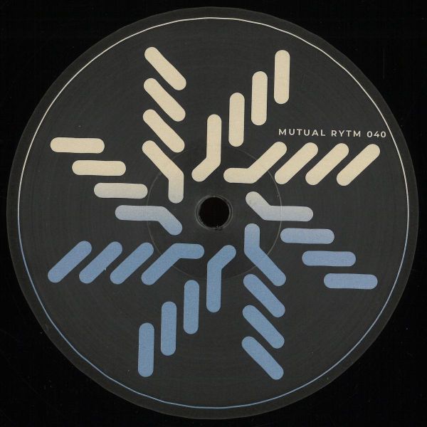 Slv — Fleeting Dreams vinyl cover
