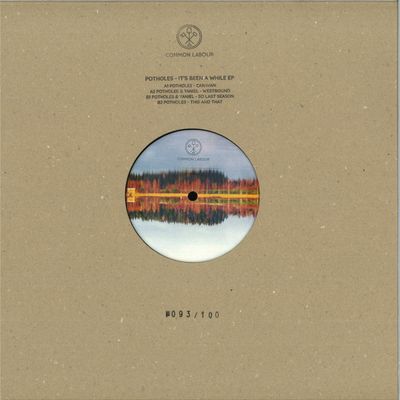 PothOles — IT'S BEEN A WHILE EP vinyl cover