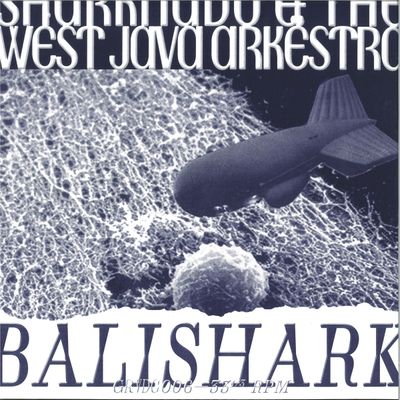 Sharknado, The West Java Arkëstra — Balishark LP vinyl cover