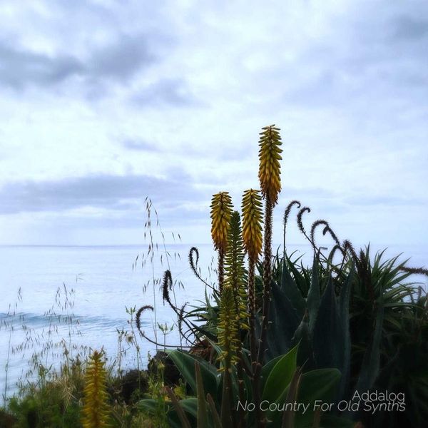 Addalog — No Country For Old Synths vinyl cover