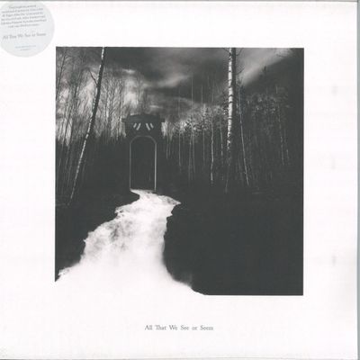 All That We See Or Seem — All That We See or Seem vinyl cover