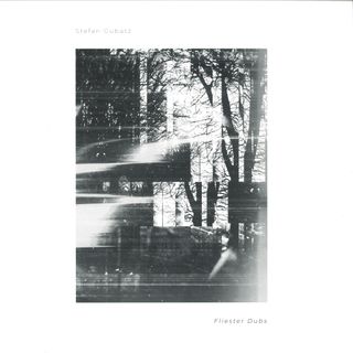 Stefan Gubatz — Fliester Dubs vinyl cover