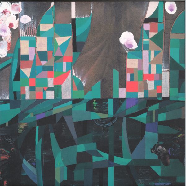 Wata Igarashi — Agartha Remixe vinyl cover