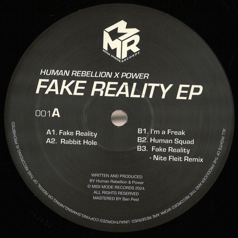 Human Rebellion, Power — Fake Reality EP vinyl cover