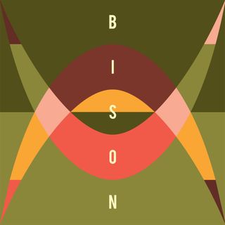 Bison — Travellers (2x12") vinyl cover