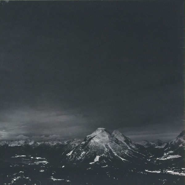 Skee Mask — Shred 2x12" vinyl cover