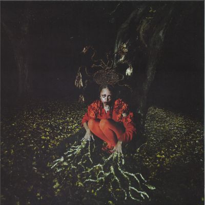 Damsel Elysium — WHISPERS FROM ANCIENT VESSELS LP vinyl cover