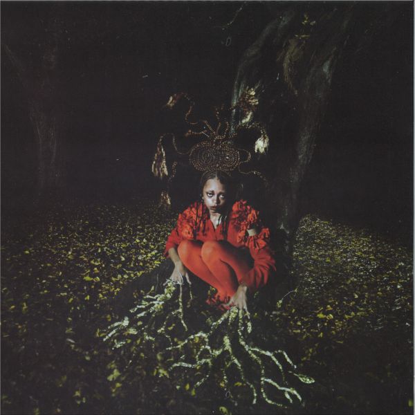 Damsel Elysium — WHISPERS FROM ANCIENT VESSELS LP vinyl cover