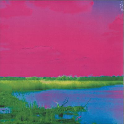Moy — THE CAUSTIC WYMONDHAM EP vinyl cover