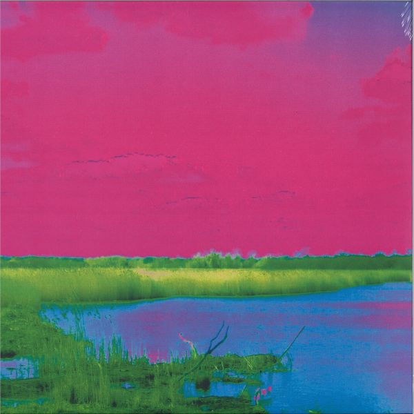 Moy — THE CAUSTIC WYMONDHAM EP vinyl cover
