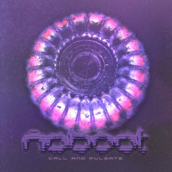 Noboot — CALL AND PULSATE (2x12") vinyl cover