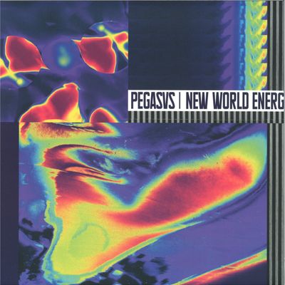 Pegasvs — New World Energy vinyl cover