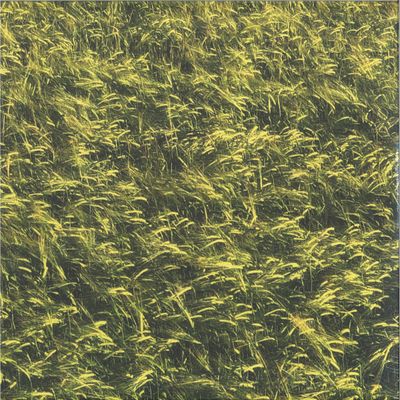 Skee Mask — Pool LP 3x12" vinyl cover