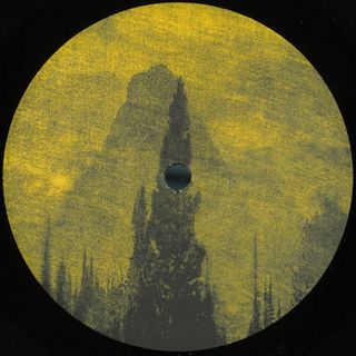 Lake Haze — Geonomic Fusion vinyl cover