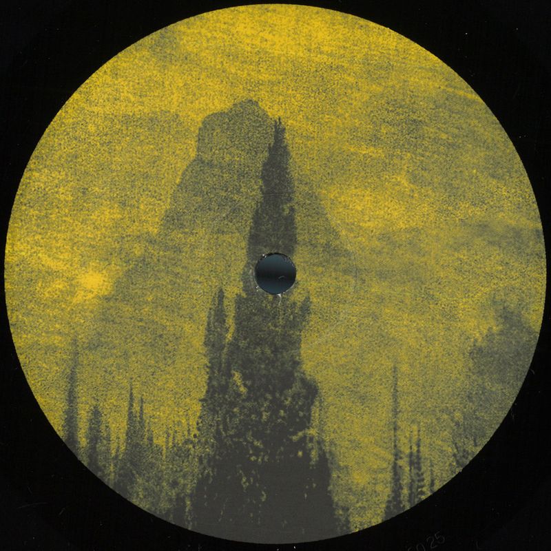 Lake Haze — Geonomic Fusion vinyl cover