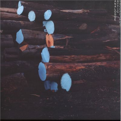Alex Albrecht — COLES BRIDGE vinyl cover