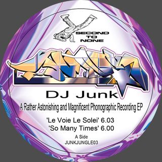 Dj Junk — A Rather Astonishing and Magnificent Phonographic Recording EP vinyl cover