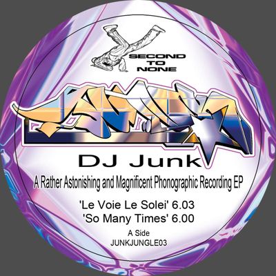 Dj Junk — A Rather Astonishing and Magnificent Phonographic Recording EP vinyl cover