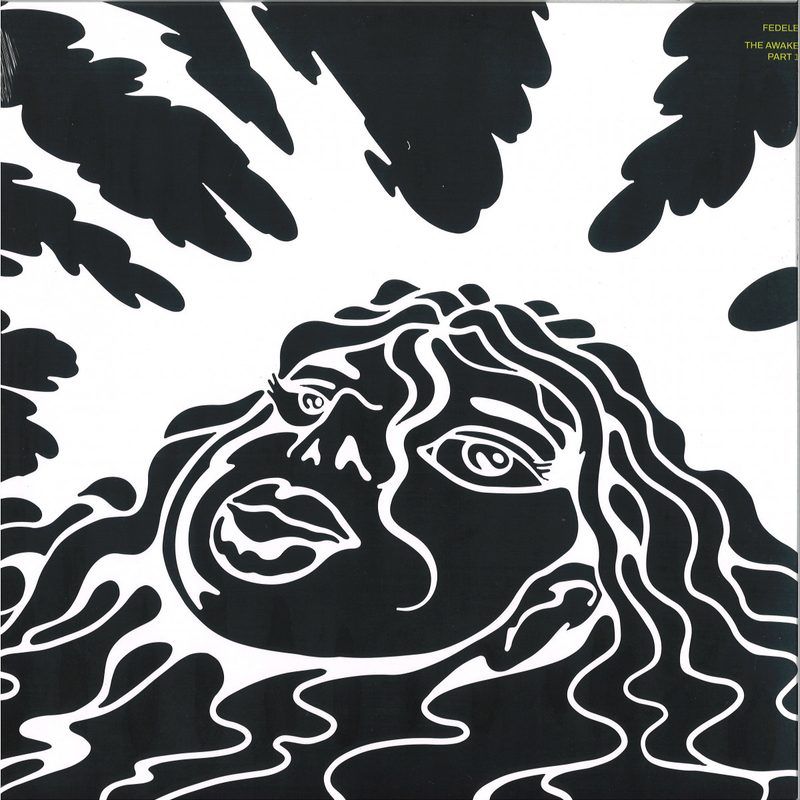 Fedele — The Awake, Pt.1 vinyl cover