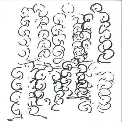 Hotspring — Apodelia LP vinyl cover