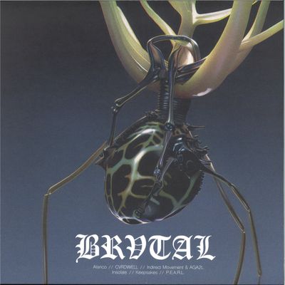 Various — BRV007 vinyl cover
