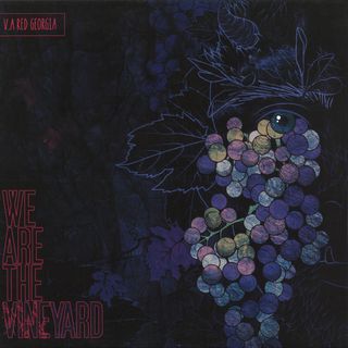 We Are The Vineyard